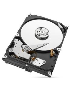 Seagate Surveillance HDD SkyHawk 1TB 1000GB Serial ATA III 2
