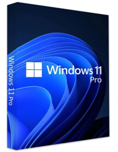 Licenza Sistema Operativo Windows 11 Pro 64Bit OEM 2024