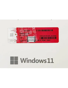 Licenza Sistema Operativo Windows 11 Pro 64Bit OEM 2024 2
