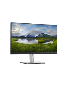 DELL 24 MONITOR P2422H 60, 5CM (23, 8) 3Y BASE ADVEX 2