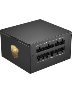 Alimentatore Modulare Sharkoon Rebel P20 850W Cybenetics Gold